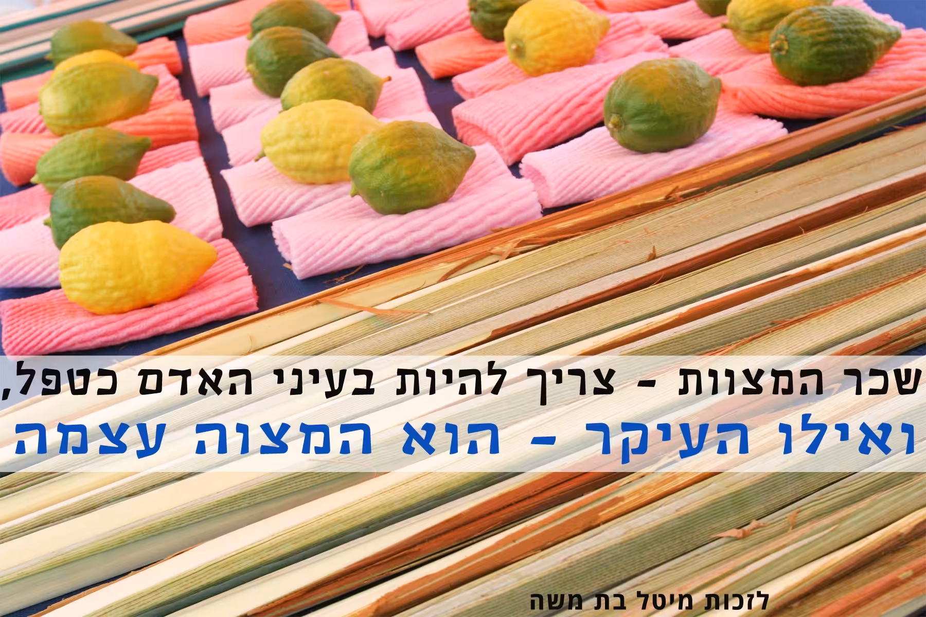 המצטער-מן-הסוכה