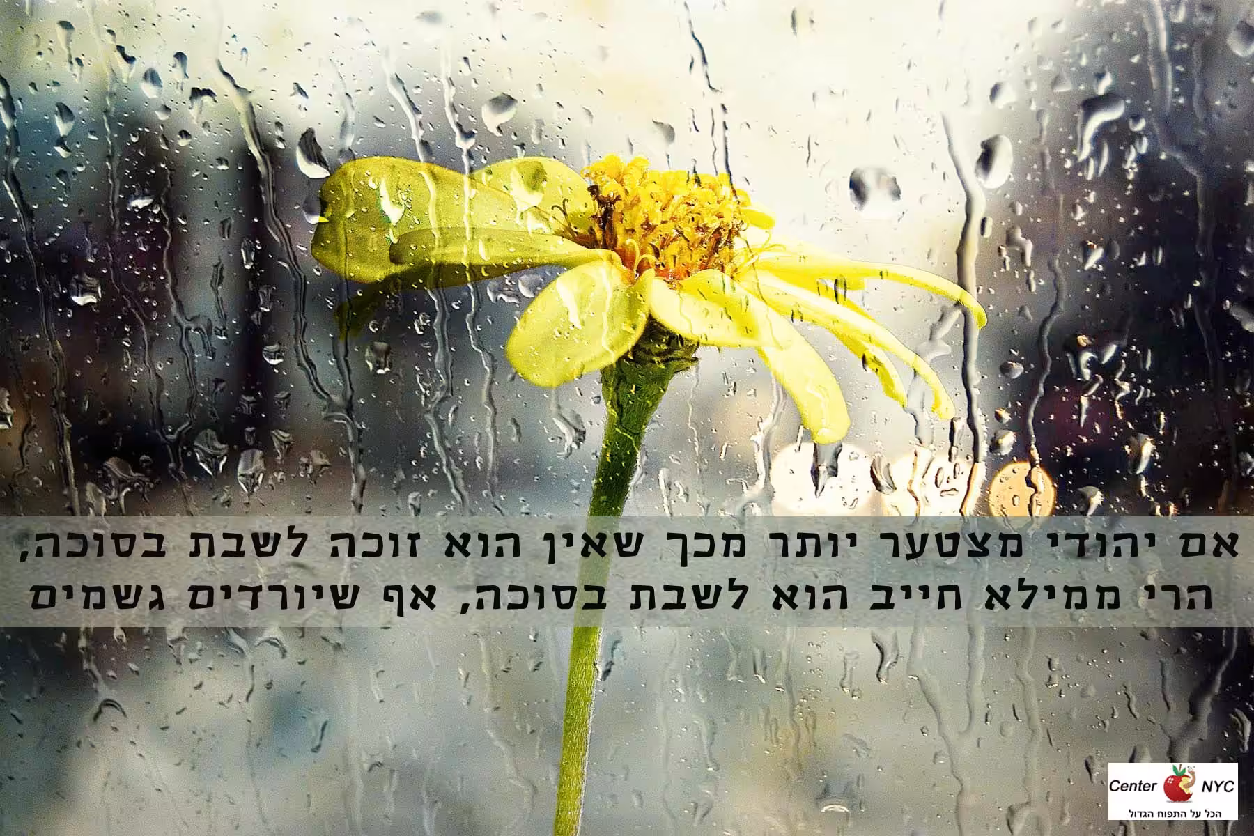 סוכה בגשם