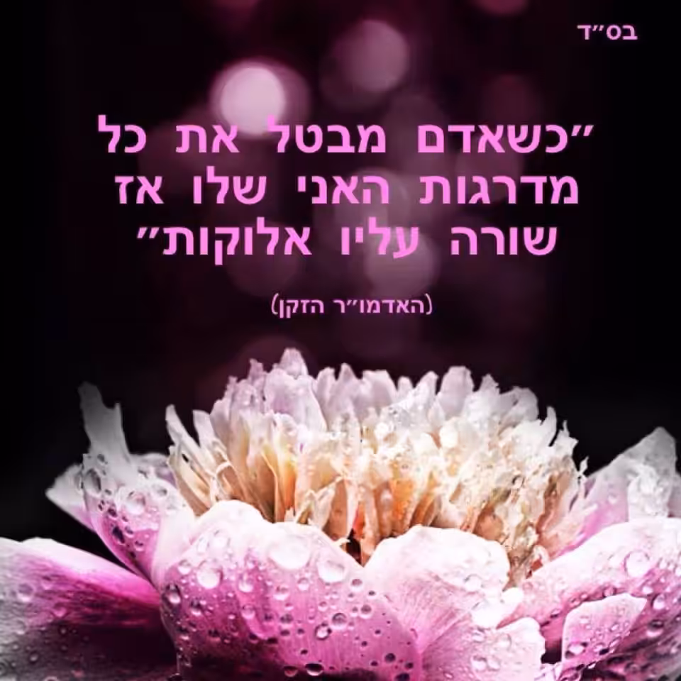 לבטל את כל מדרגות האני