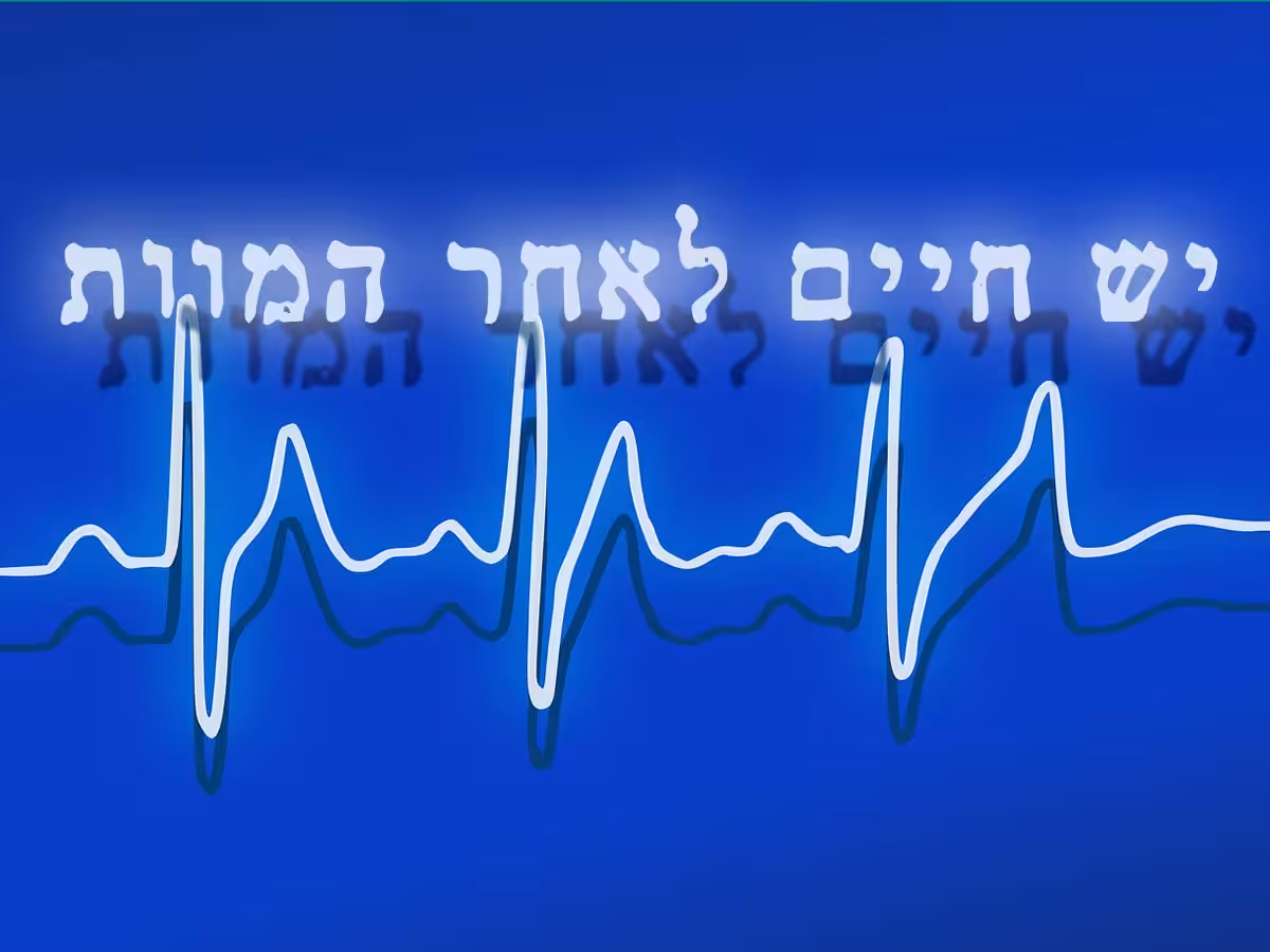 יש חיים אחרי המוות! טור לפרשת חיי שרה