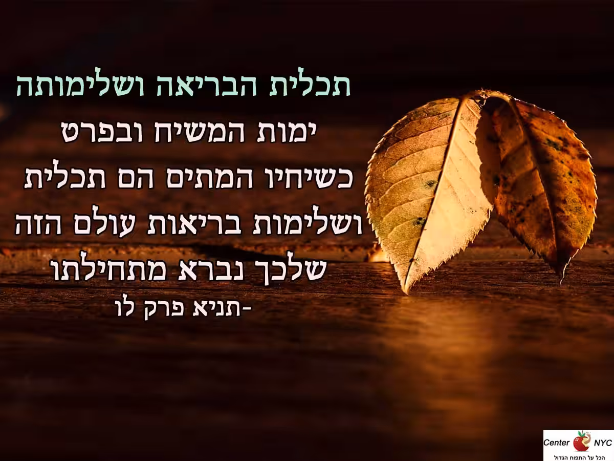 תכלית הבריאה ושלימותה