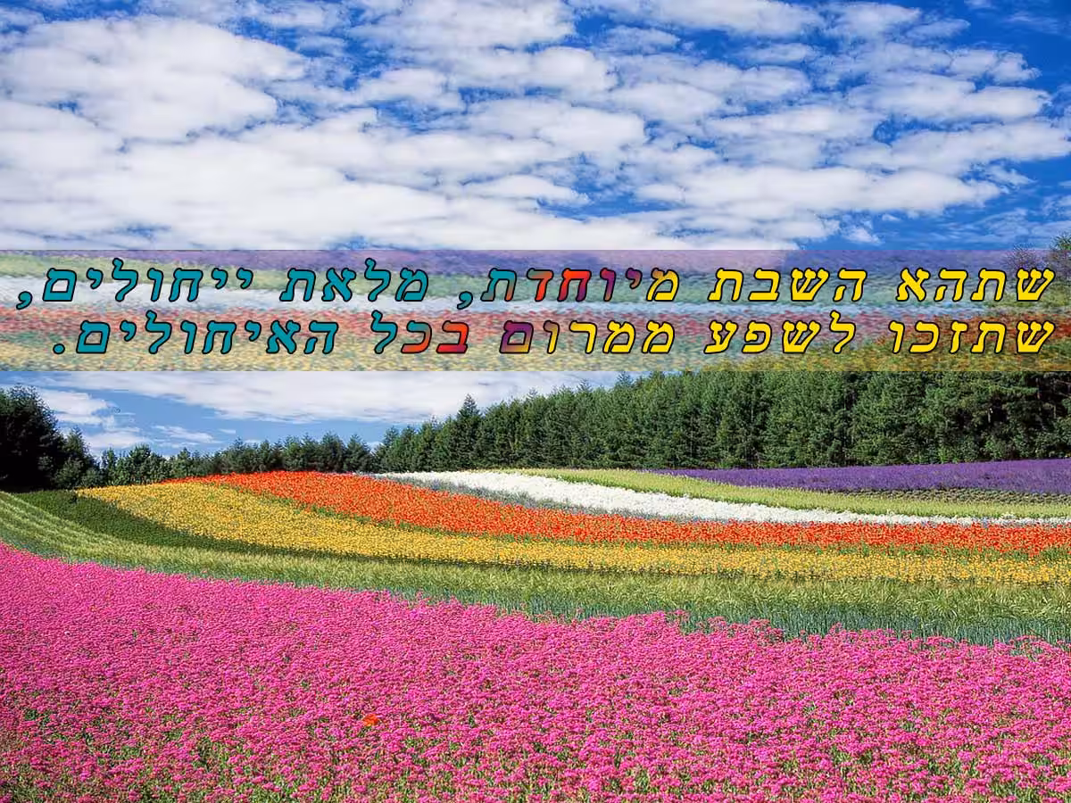 ברכה לשבת מיוחדת