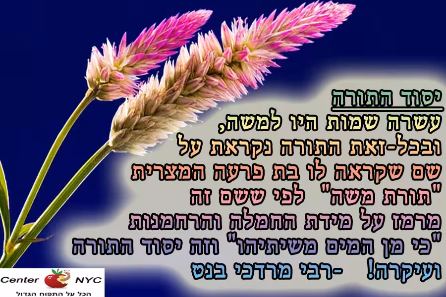 יסוד התורה: "כי מן המים משיתיהו"