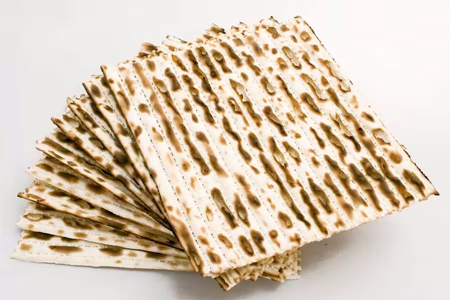 פרשת בא אין אלטרנטיבה ויהדות אלטרנטיבית