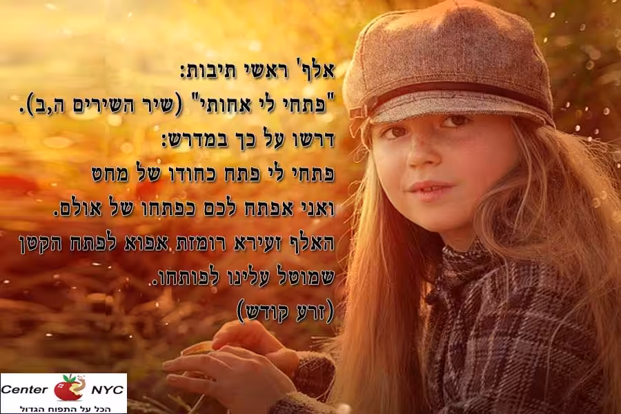 ראשי תיבות האלף הזעירא - ויקרא