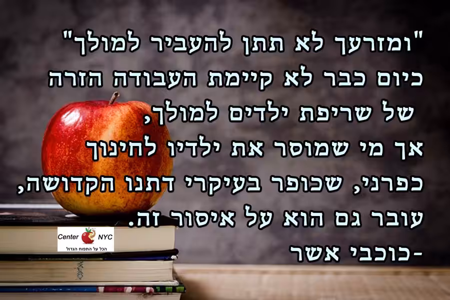 חינוך לקוי