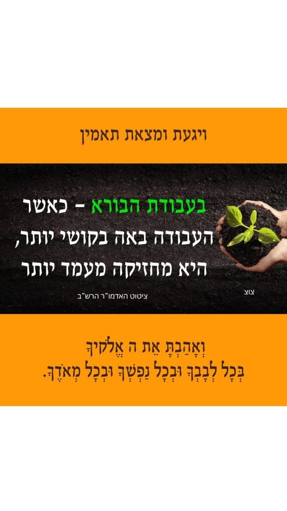 ויגעת ומצאת תאמין