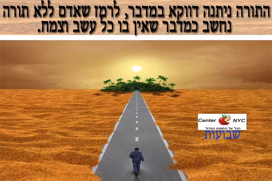 איש עסקים הולך במדבר