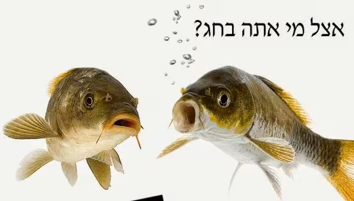 גפילטע פיש מצחיק