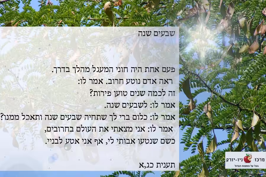 חסד לטווח ארוך