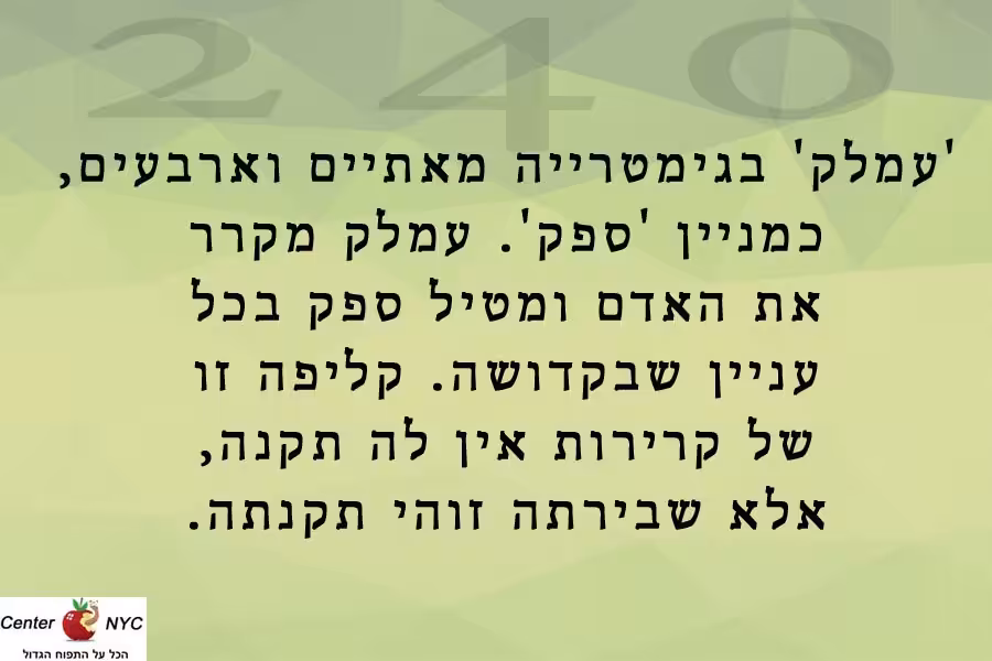 קליפת עמלק 240