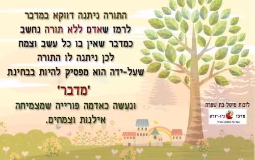 למה התורה ניתנה במדבר - פרשת במדבר כהכנה לשבועות