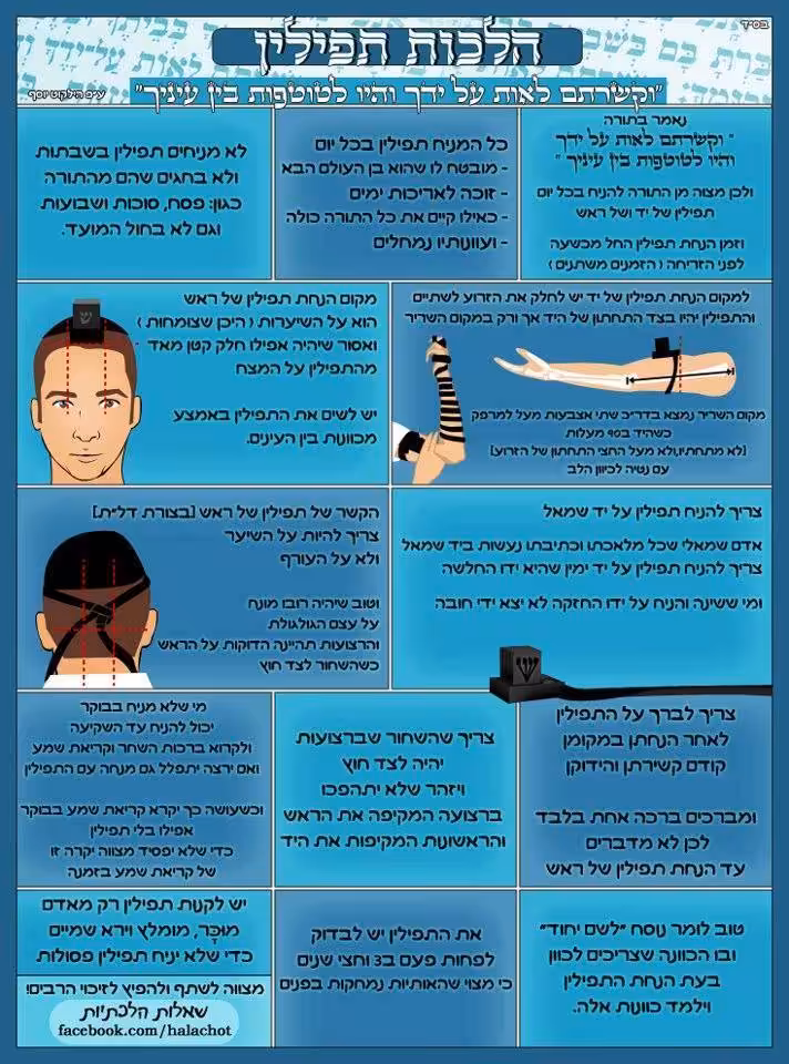 הלכות תפילין לפי הבית יוסף