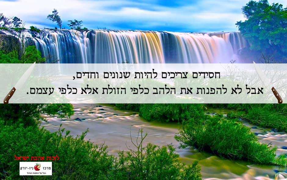 סכין חסידות