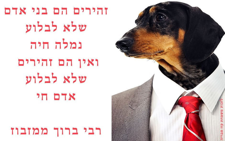 רבי ברוך ממז'יבוז - ציטוט