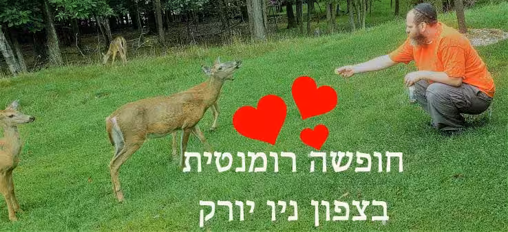 חופשה-רומנטית-בצפון-ניו-יורק