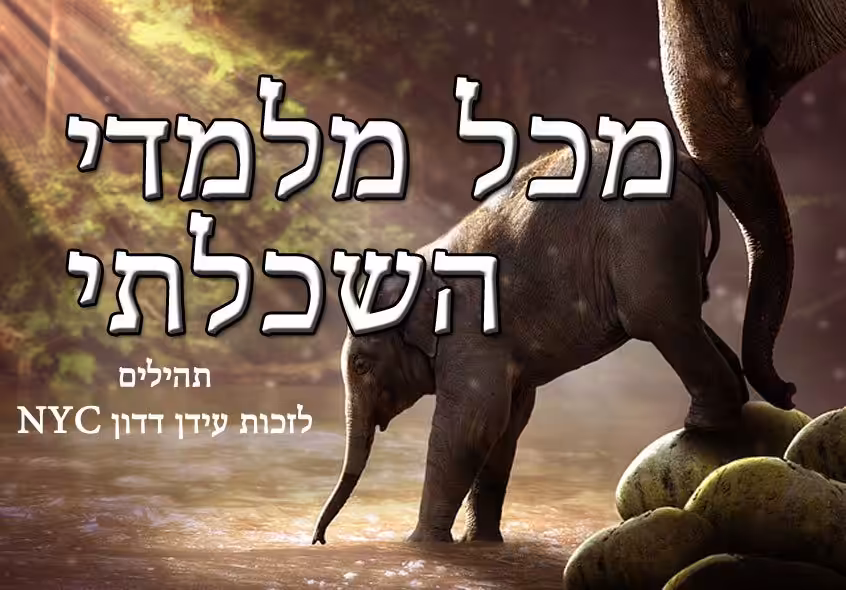מכל מלמדי השכלתי