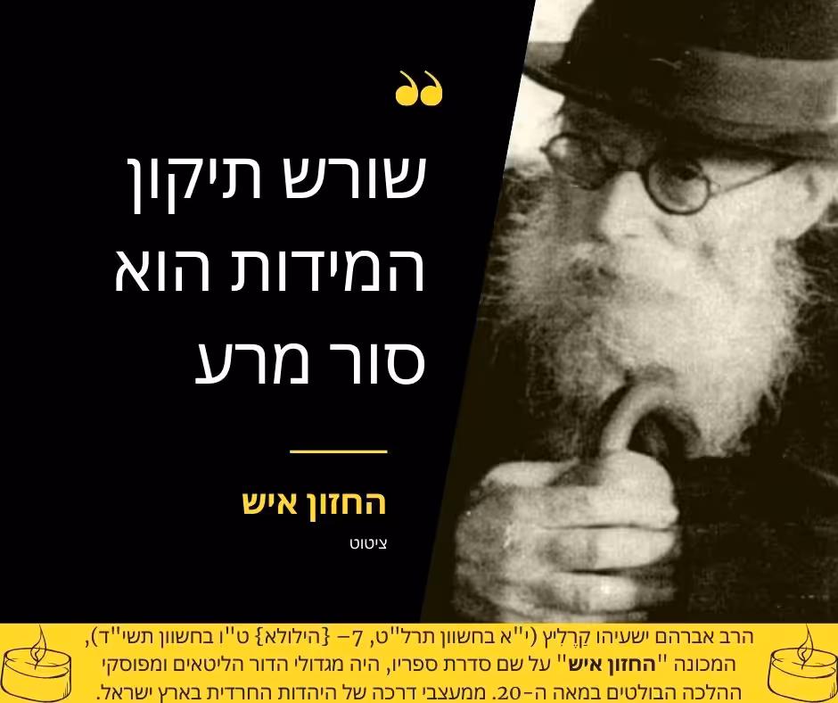 ציטוט החזון איש