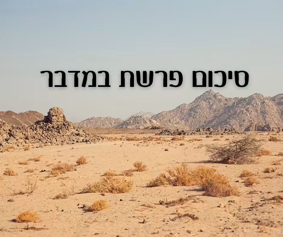 מדריך הלכתי לתשעת הימים