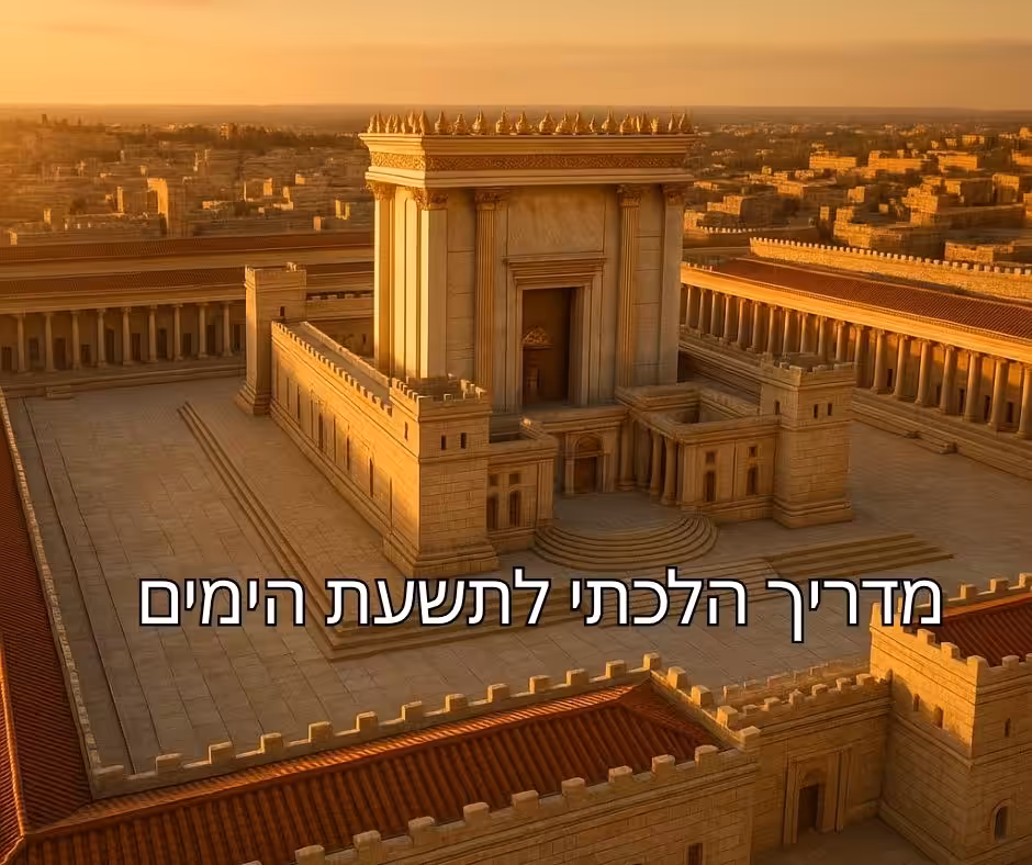 מדריך הלכתי לתשעת הימים