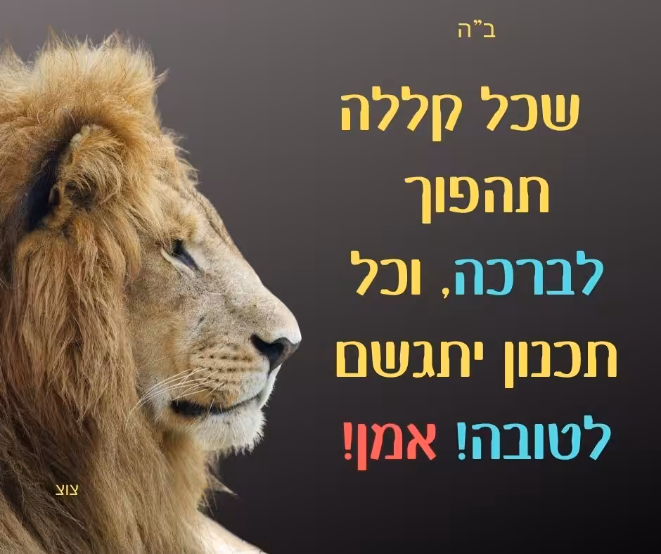 אריה   שכל קללה תהפוך לברכה, וכל תכנון יתגשם לטובה! אמן!
