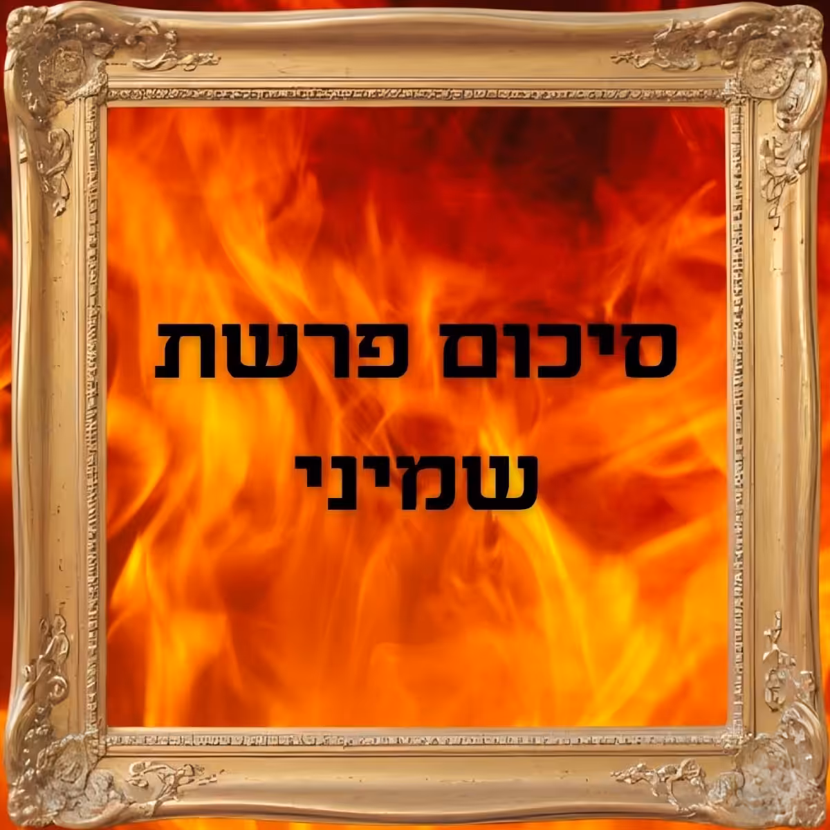 סיכום פרשת שמיני