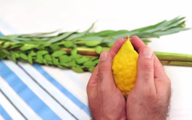 ארבעת המינים